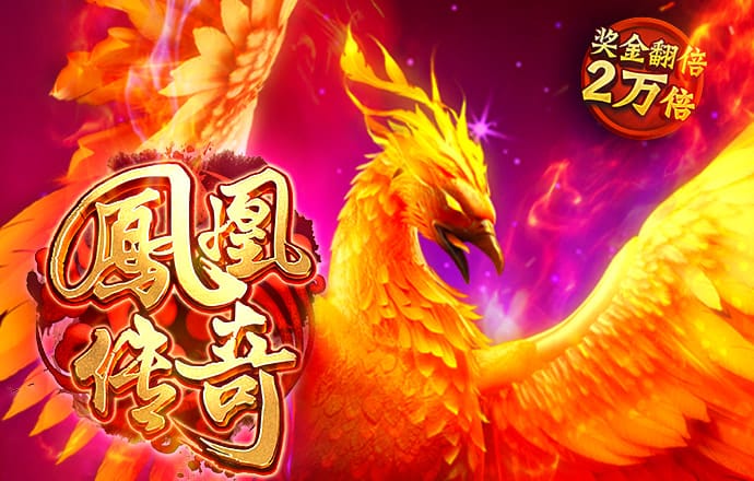 期期中app官方正版下载
